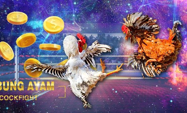 Bermain Sabung Ayam Online Di Tahun 2021