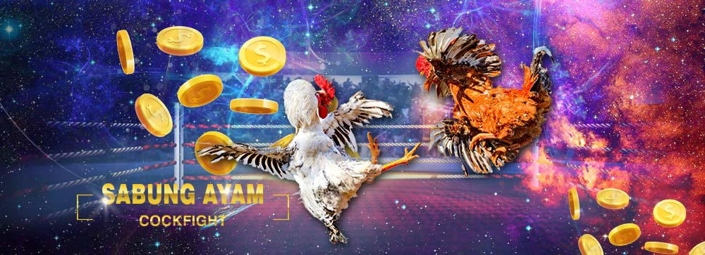 Bermain Sabung Ayam Online Di Tahun 2021